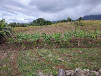 terrain à Saint Andre (974)