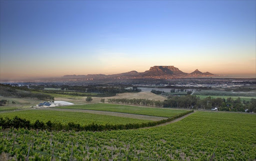 De Grendel vineyards.