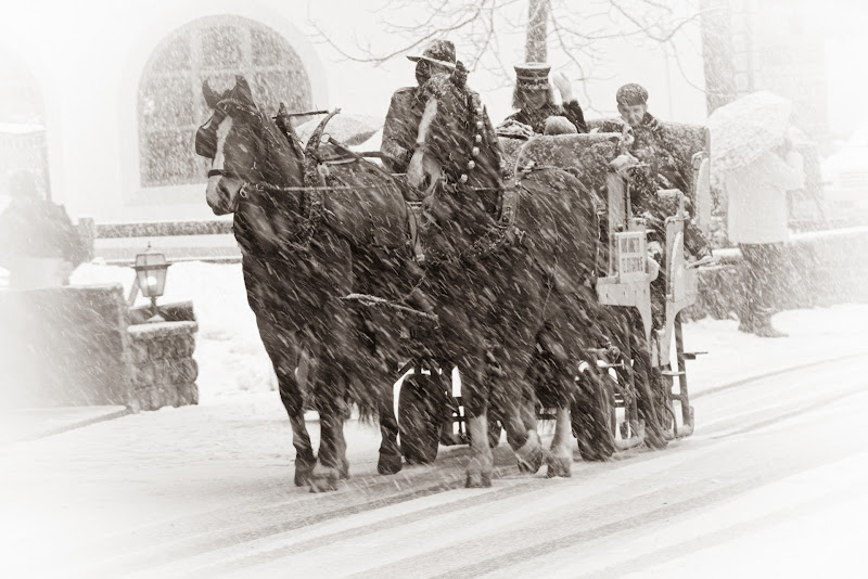 in carrozza con la bufera di annabarbi