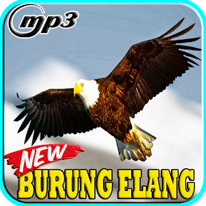 Kicau Burung Elang Mp3 Apk 1 0