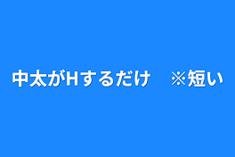 中太がHするだけ　※短い