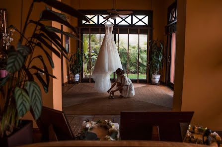 Fotógrafo de bodas Yolanda M Criado Muñoz Criado (yolandamcriado). Foto del 12 de enero 2018