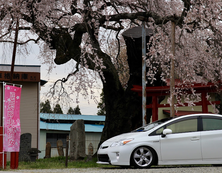 プリウスのkohei…prius…9さんが投稿したカスタム事例の投稿画像2枚目