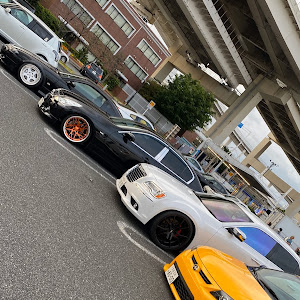 300 LX36