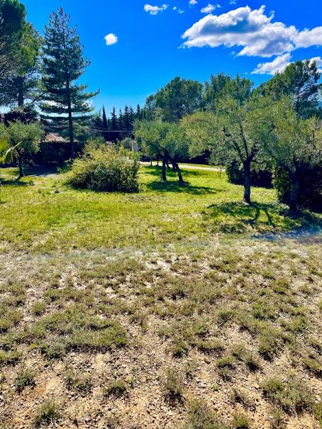 Vente terrain  1000 m² à Saint-Maximin-la-Sainte-Baume (83470), 159 000 €