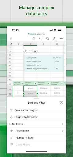 Screenshot Microsoft Excel: Spreadsheets