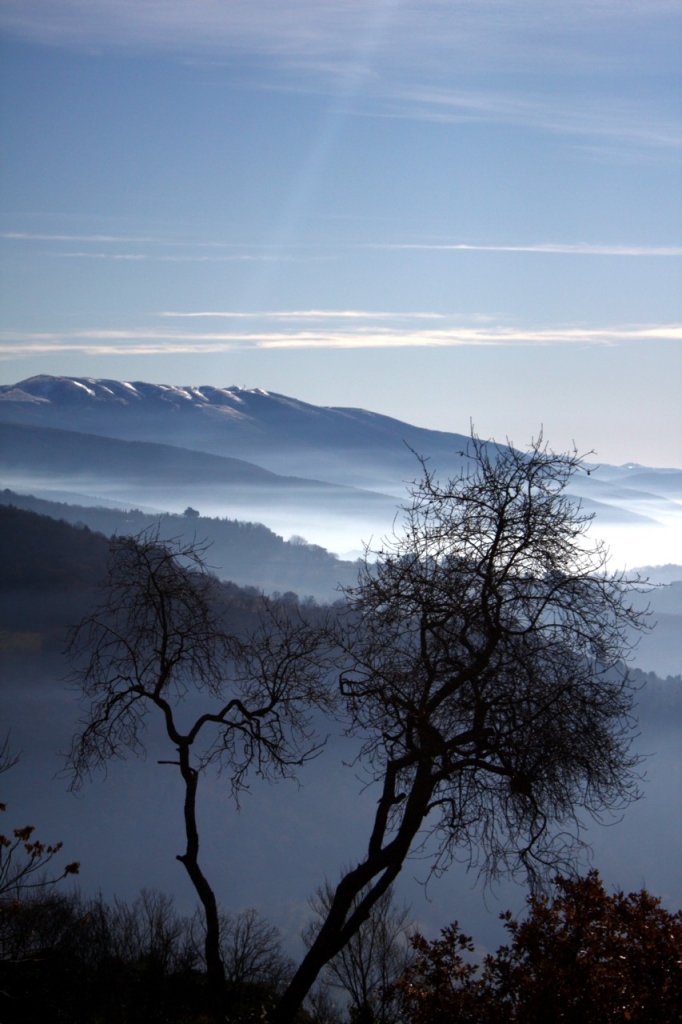 Il silenzio sulla vetta di TARAS29