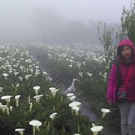 【竹子湖】苗榜花園餐廳