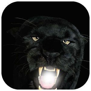 Panther Photo Frame.apk 1.0