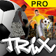 3D Soccer Tricks PRO Download on Windows