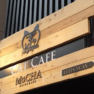 O CAT CAFÈ 貓咪咖啡廳