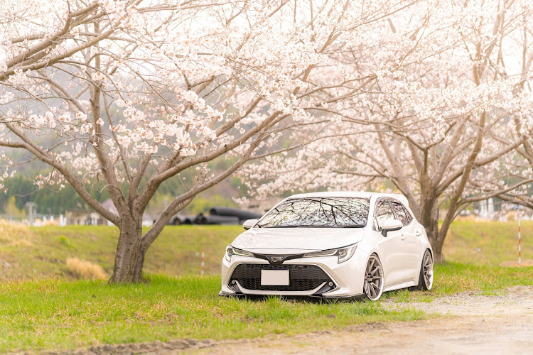 カローラスポーツの桜とコラボ・明日は試験に関するカスタム事例の投稿画像2枚目