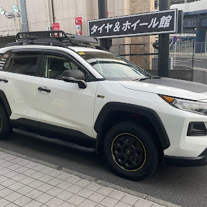 RAV4 MXAA54