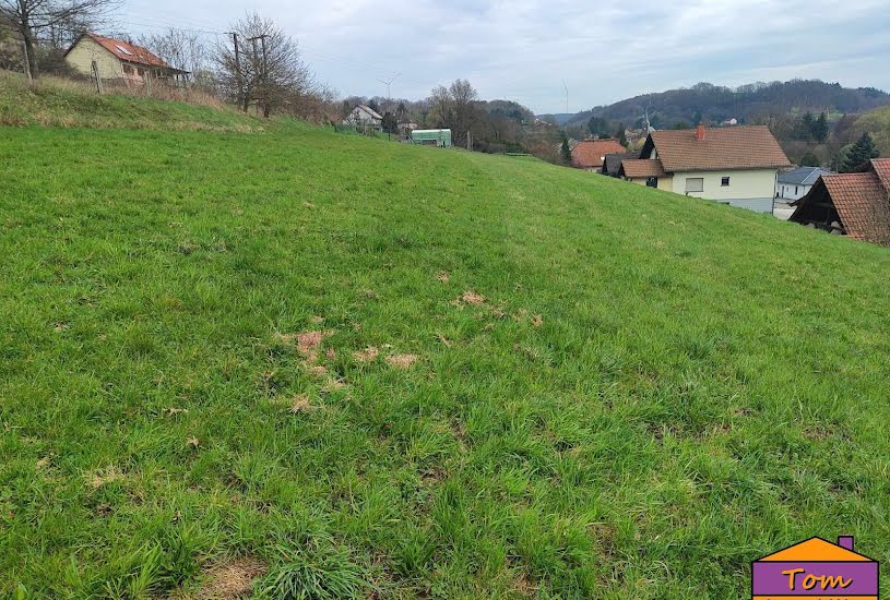  Vente Terrain à bâtir - 980m² à Walschbronn (57720) 