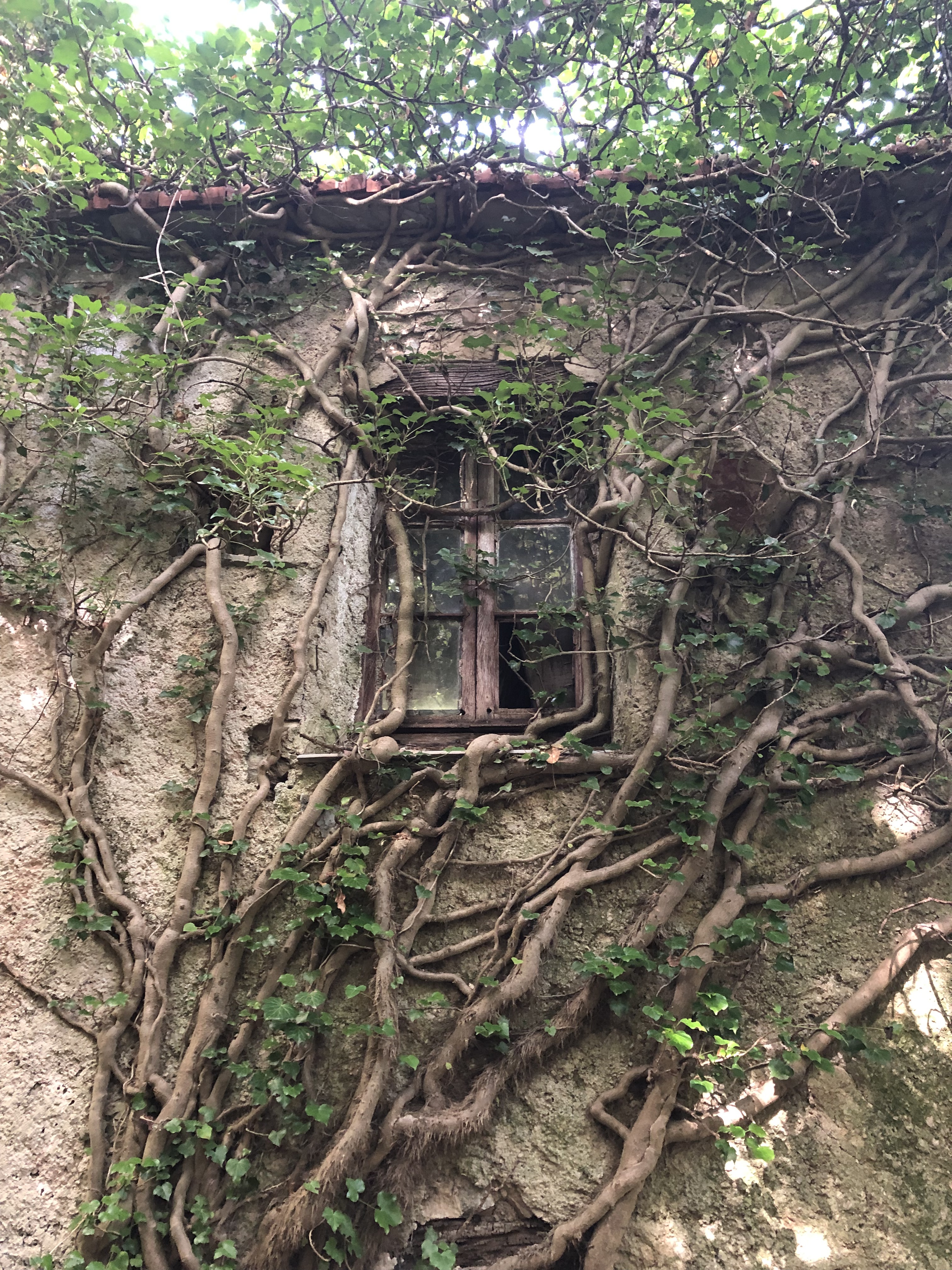 la casa nel bosco di Marty4