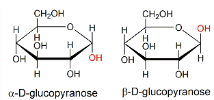 Solution Image