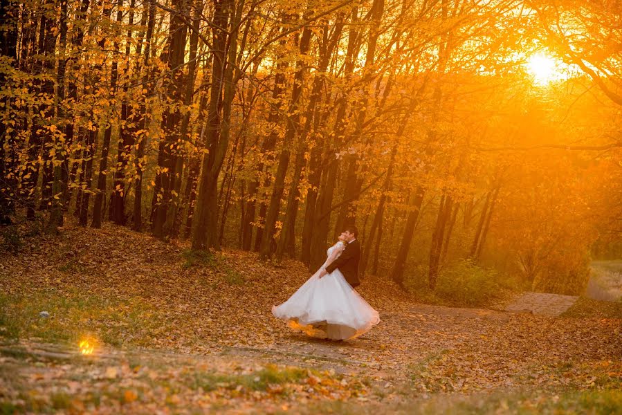 Wedding photographer Teodora Bisog (teodorabisog). Photo of 4 January 2017