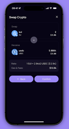 Screenshot Newmoney AI Wallet