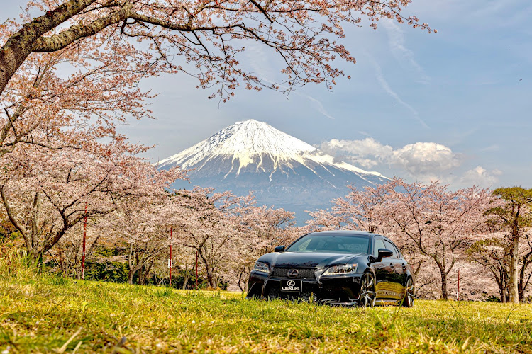 GSの桃源郷・桜・静岡・夢遊病・富士山に関するカスタム事例の投稿画像2枚目