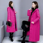 Rose red