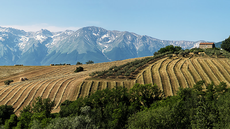 ....... dopo la mietitura del grano..... di renzodid