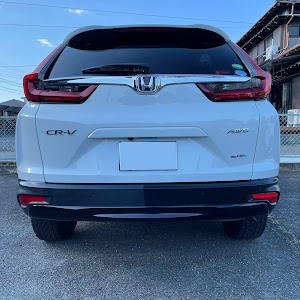 CR-V RT6