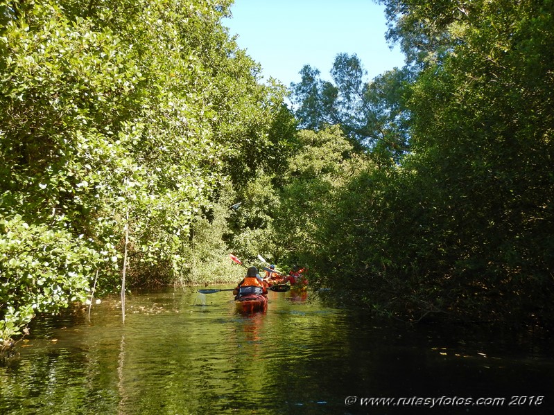 Kayak río Palmones