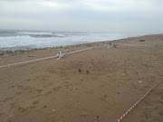 The body of a missing teenager was recovered on a south coast beach on Monday night. File photo.