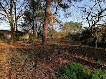 terrain à Saint-Hilaire-de-Clisson (44)