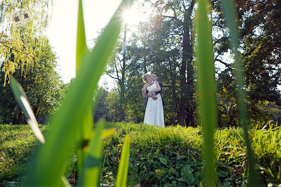 Fotógrafo de casamento Mariya Alekhina (mafanja123). Foto de 14 de novembro 2014