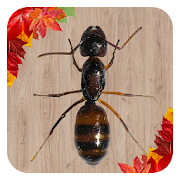 Ant Smasher 2.6 Icon