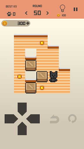 Screenshot Cat's push box 999