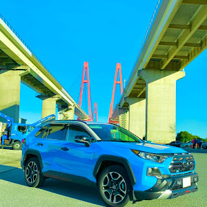 RAV4 MXAA54