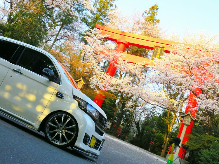 N-WGN カスタムの桜・桜と愛車に関するカスタム事例の投稿画像2枚目