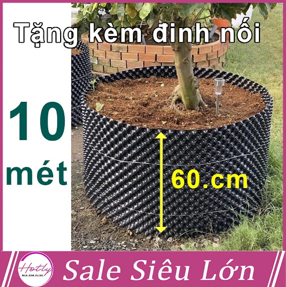 10 Mét Bầu Ươm Cây V6 Cao 60Cm Dày 6Mm, Cắt Theo Mét Dài Khách Đặt, Tặng Ốc Vít - 77903