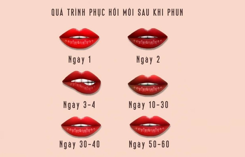 Quy trình bong vảy và lên màu sau khi phun môi