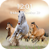 Horse Live Wallpaper icon