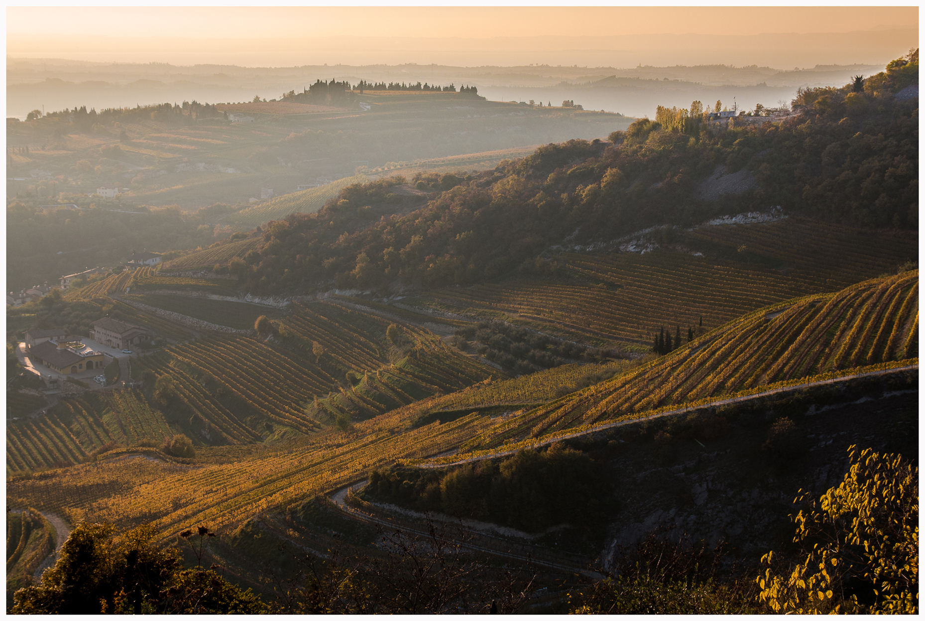 I vigneti della Valpolicella di E l i s a E n n E