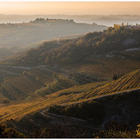 I vigneti della Valpolicella di 