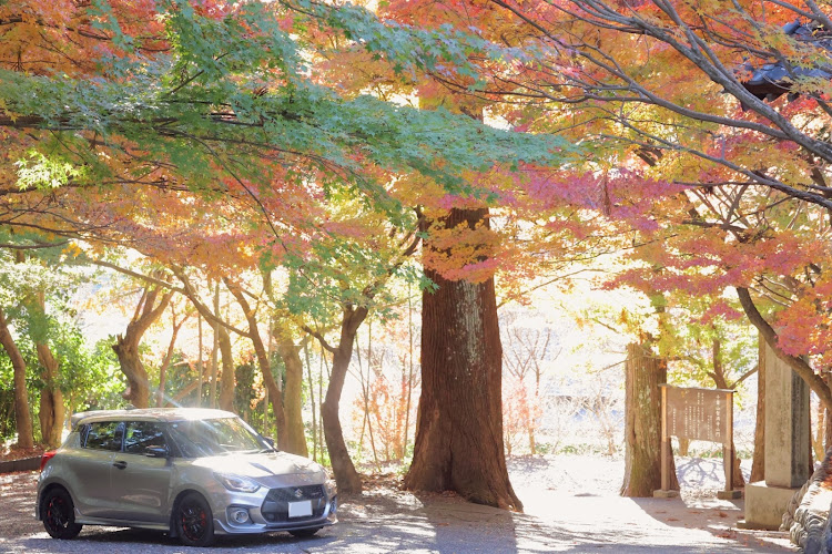スイフトスポーツの川根本町へ・川根方面・川根ドライブ・川根・川根本町に関するカスタム事例の投稿画像9枚目