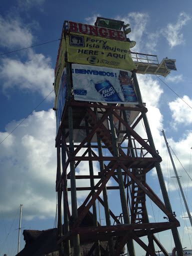The Bungee Tower