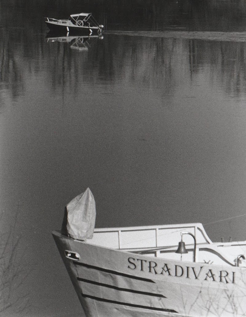 " Stradivari " di Brigante