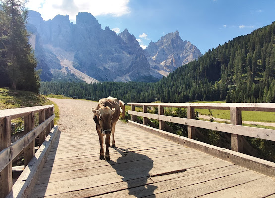 Non sarò mai solo di Marziano