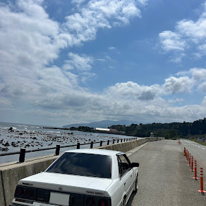 スカイライン HR31