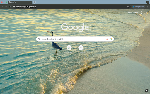 seagulls and seashore screenshot 2