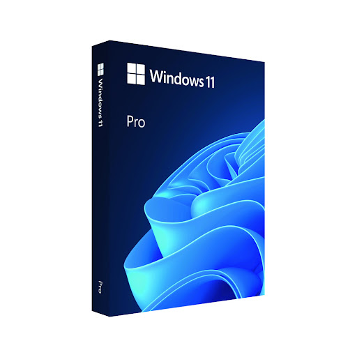 Phần mềm Microsoft Win 11 Pro FPP 64 bit Eng Intl USB (HAV-00163)