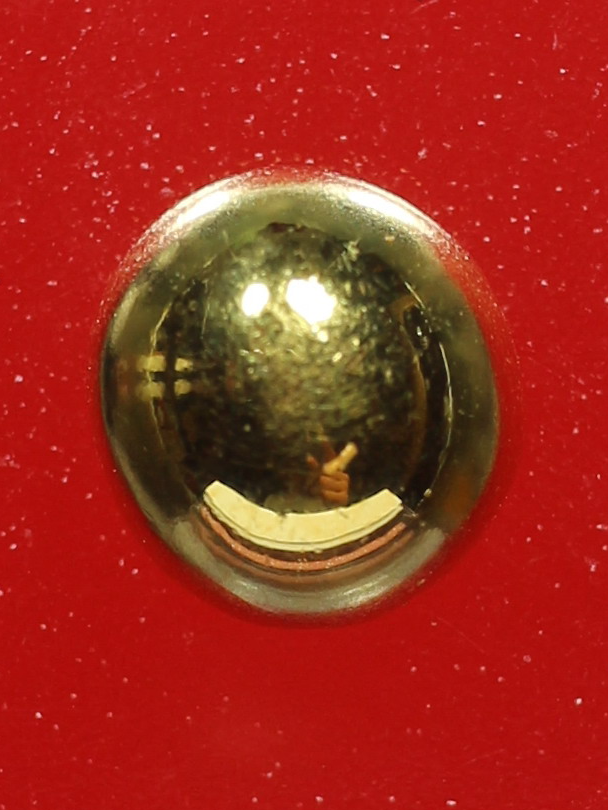 ปรอทกินทอง