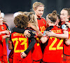 Deze 23 Flames moeten het doen tegen Denemarken en wereldkampioen Spanje