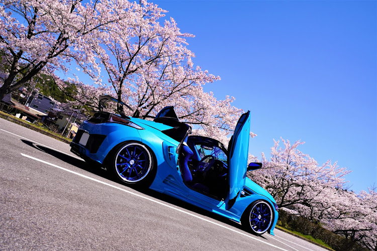 S660の桜とコラボ・サクラと愛車・目指せPickUpCars・pickUpCarsに選ばれたい・やっぱり桜でしょに関するカスタム事例の投稿画像5枚目