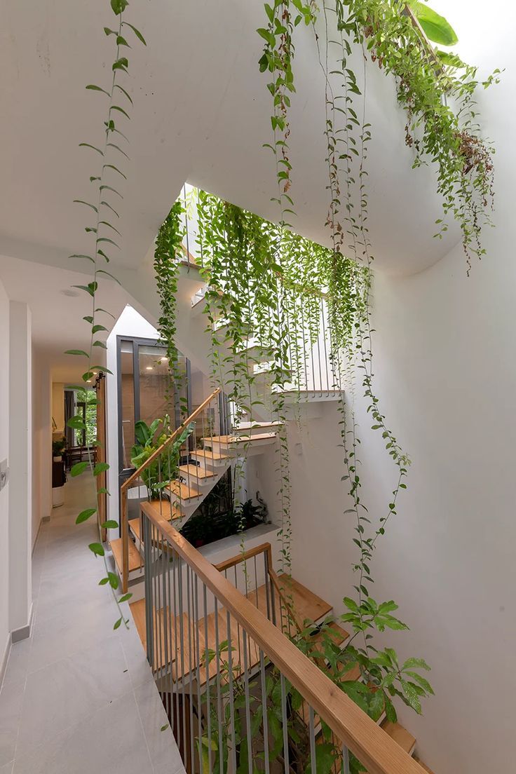 Connect With nature - Live plants in your home